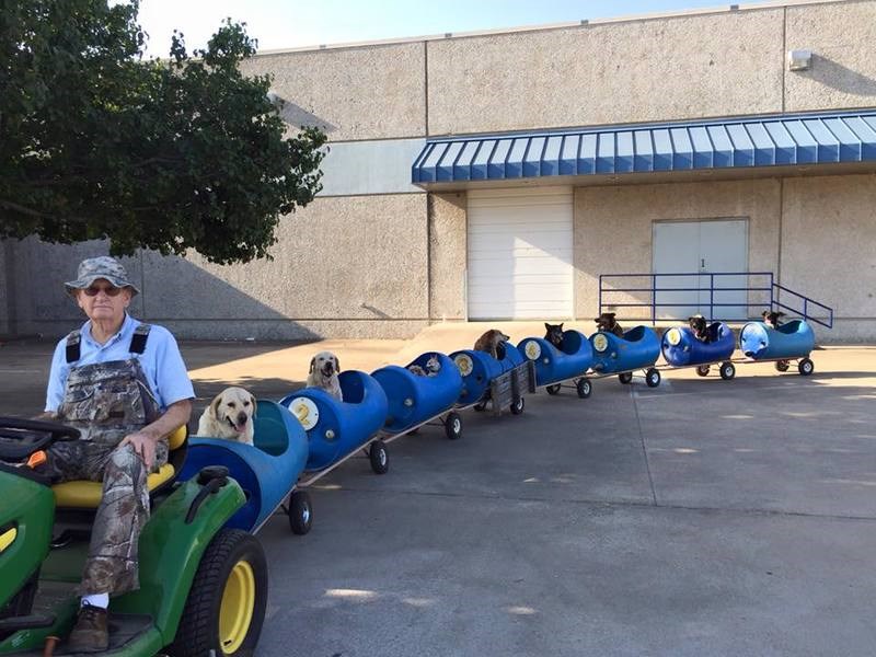 O 80χρονος άνδρας που έφτιαξε τραίνο για να βγάζει βόλτα τα αδέσποτα σκυλιά που σώζει