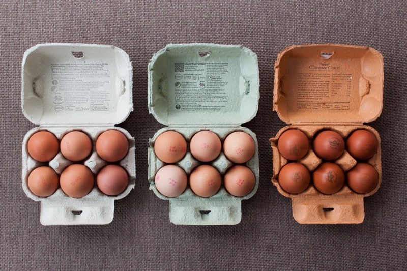 Πώς θα καταλάβεις αν ένα αυγό έχει χαλάσει πριν το σπάσεις