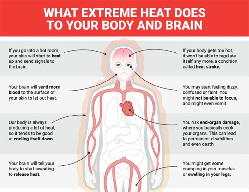 Τι συμβαίνει στο σώμα και στον εγκέφαλο όταν εκτίθεται σε υψηλές θερμοκρασίες