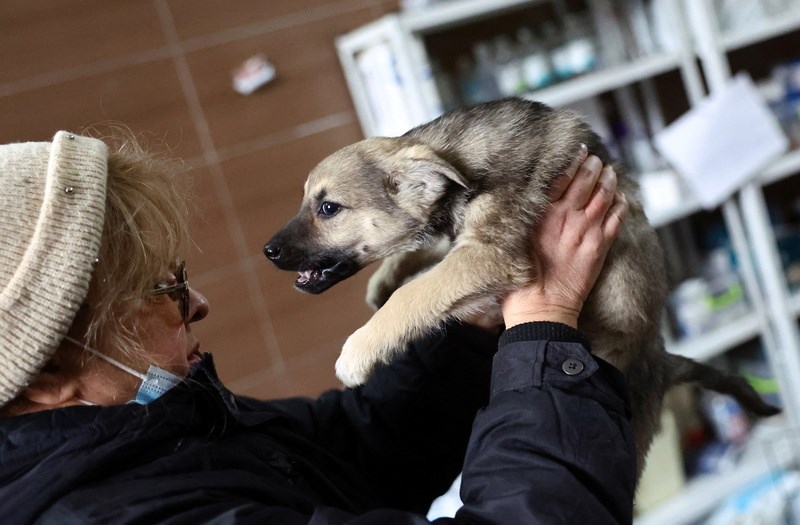 Ουκρανία: Ο αγώνας των ανθρώπων να σώσουν τα ζώα τους