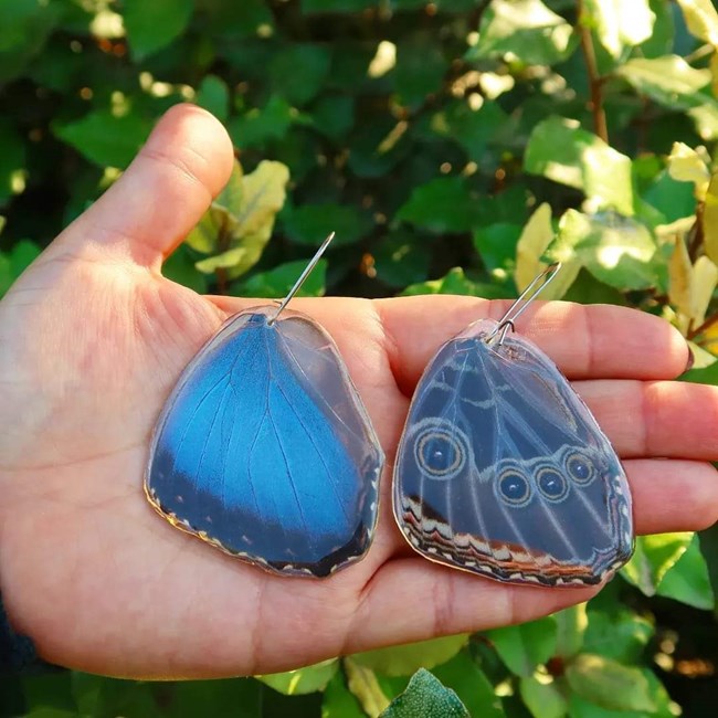 Made in Greece: Η Ευαγγελία Γεωργακοπούλου φτιάχνει κοσμήματα από αληθινά φτερά πεταλούδων