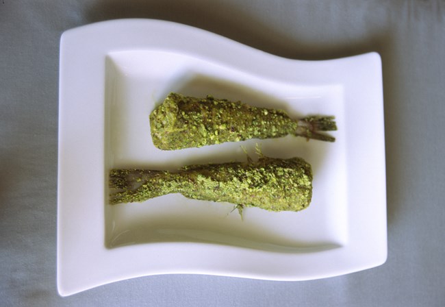 Γιώργος Χατζηγιαννάκης