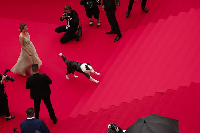 Φεστιβάλ Καννών 2024: Παιδιά έφτασε και ο Μέσι!