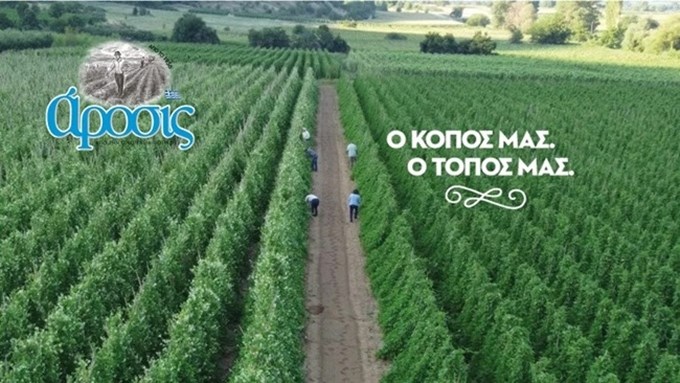 5 πράγματα που δεν ήξερες για τα όσπρια και την κλιματική αλλαγή