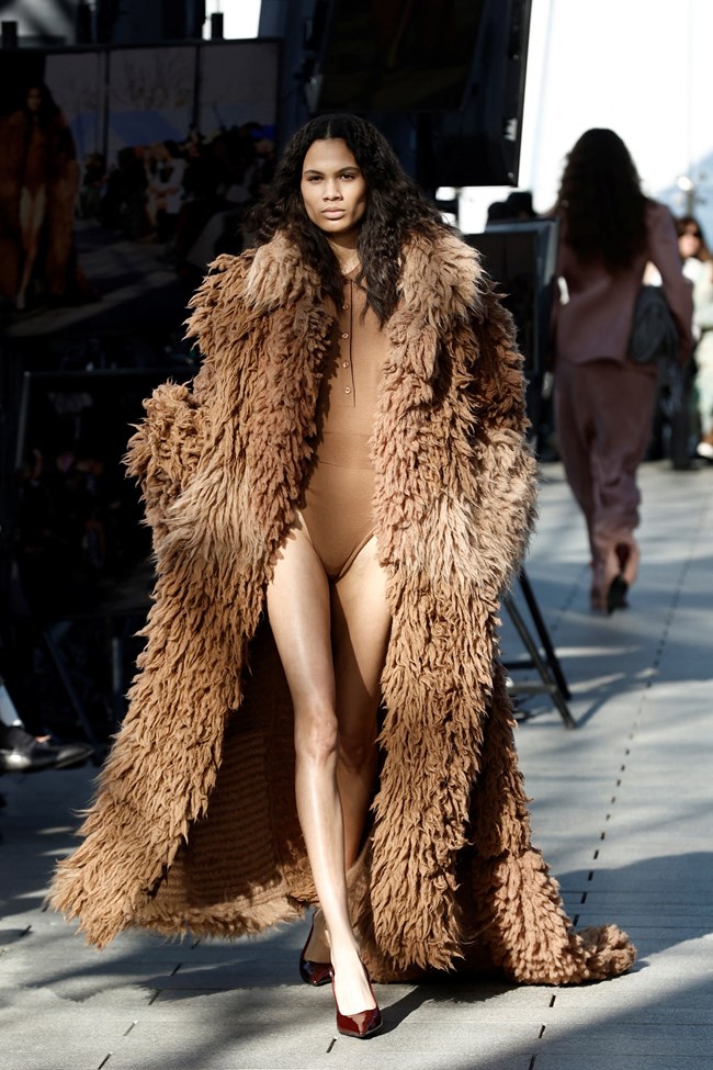 Στέλλα Μακάρτνεϊ, επίδειξη μόδας, Παρίσι