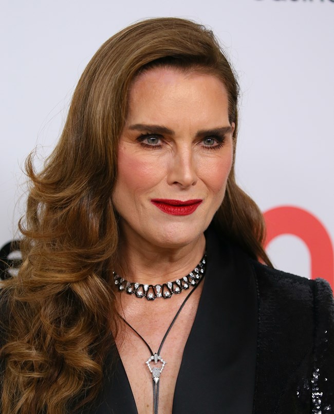 μπρουκ_σιλντς