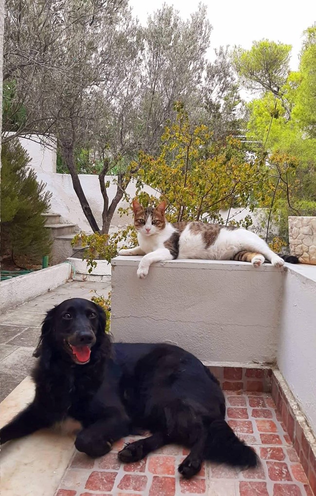 Μαντώ Γιαννίκου: το νέο σίριαλ "Γέφυρα", το θέατρο και ο "αρχηγός" της ζωής της