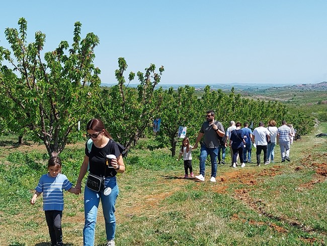 Κατερίνη: Οι ανθισμένες κερασιές ενθουσιάσαν το κοινό και ανοίγουν δρόμο για το πρότζεκτ  "Ανθισμένες Διαδρομές" της χώρας