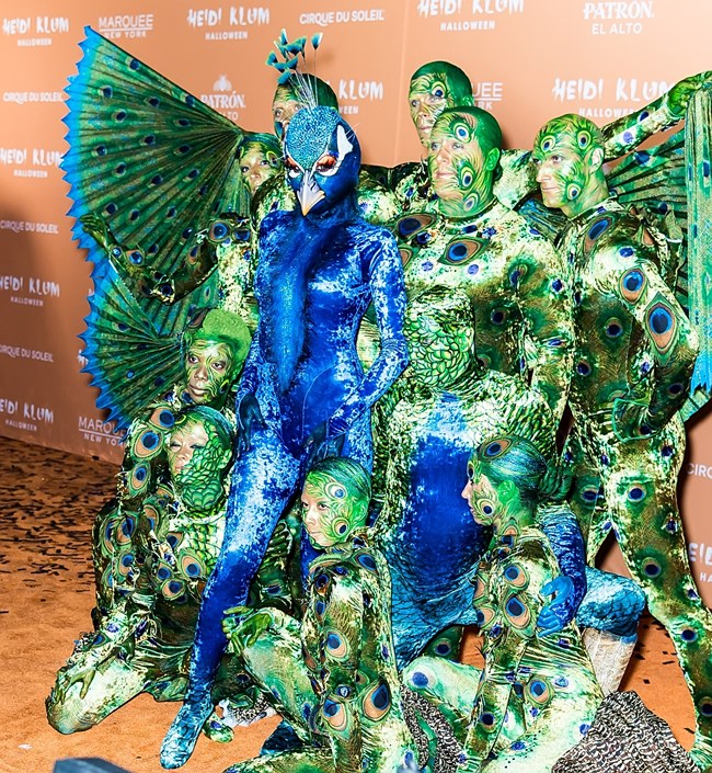 χαιντι_κλουμ