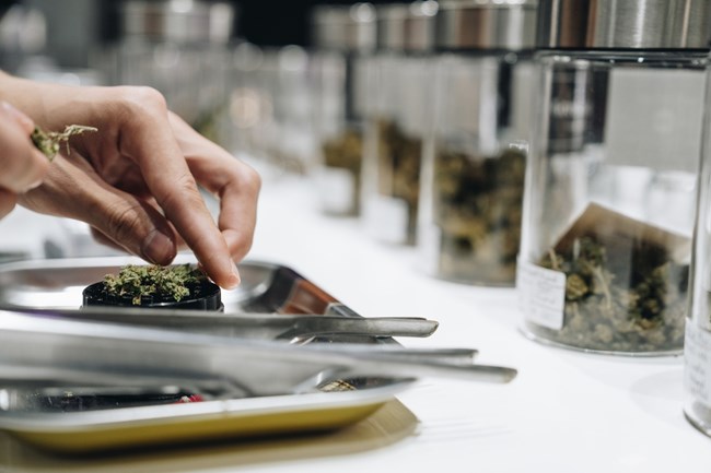 κανναβη_μακρον