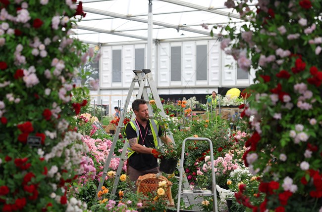 Chelsea flower show
