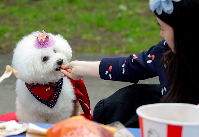 Big Lunch, coronation
