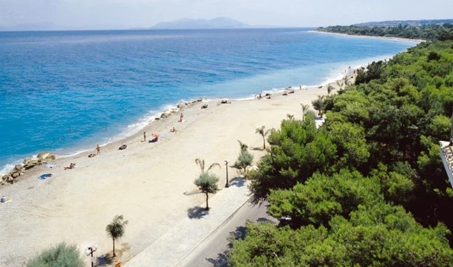 ξυλοκαστρο