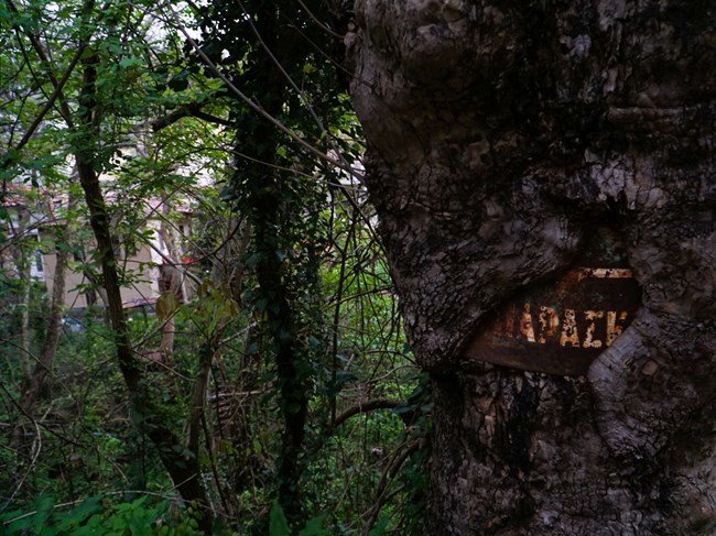 Δράμα: "Χαιρετίσματα από το χωριό"