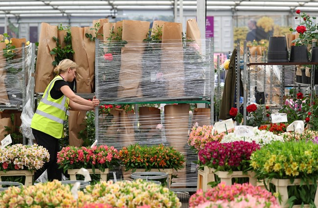 Chelsea flower show