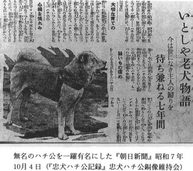 Χάτσικο, εφημερίδα