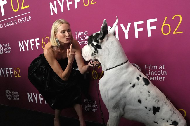 Η Ναόμι Γουότς είχε τον πιο όμορφο συνοδό στην πρεμιέρα της ταινίας της