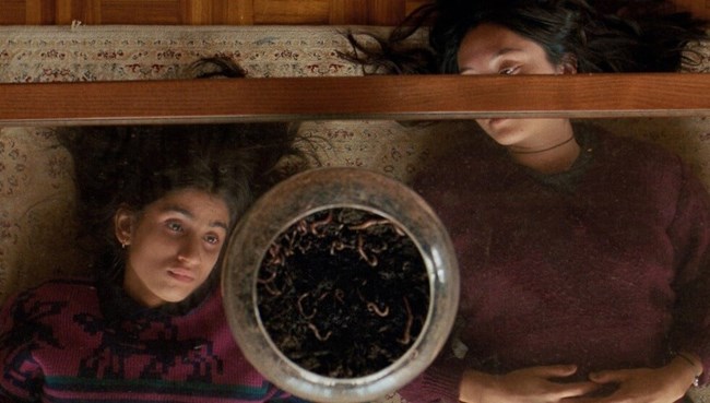 "September Says": Παγκόσμια πρεμιέρα για την ταινία της συζύγου του Γιώργου Λάνθιμου, Αριάν Λαμπέντ στο 77o Φεστιβάλ Καννών