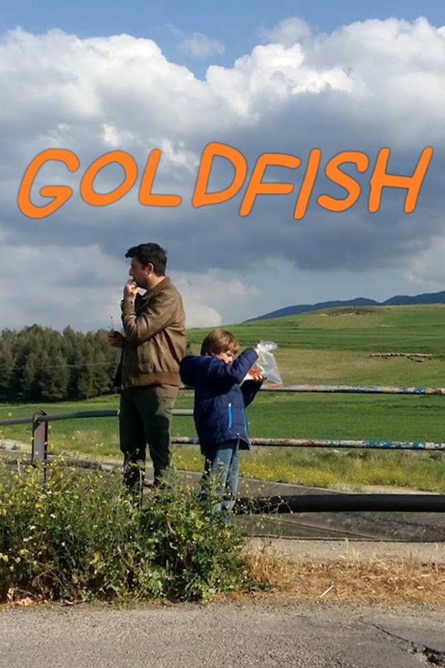 Χρυσόψαρο, μικρού μήκους