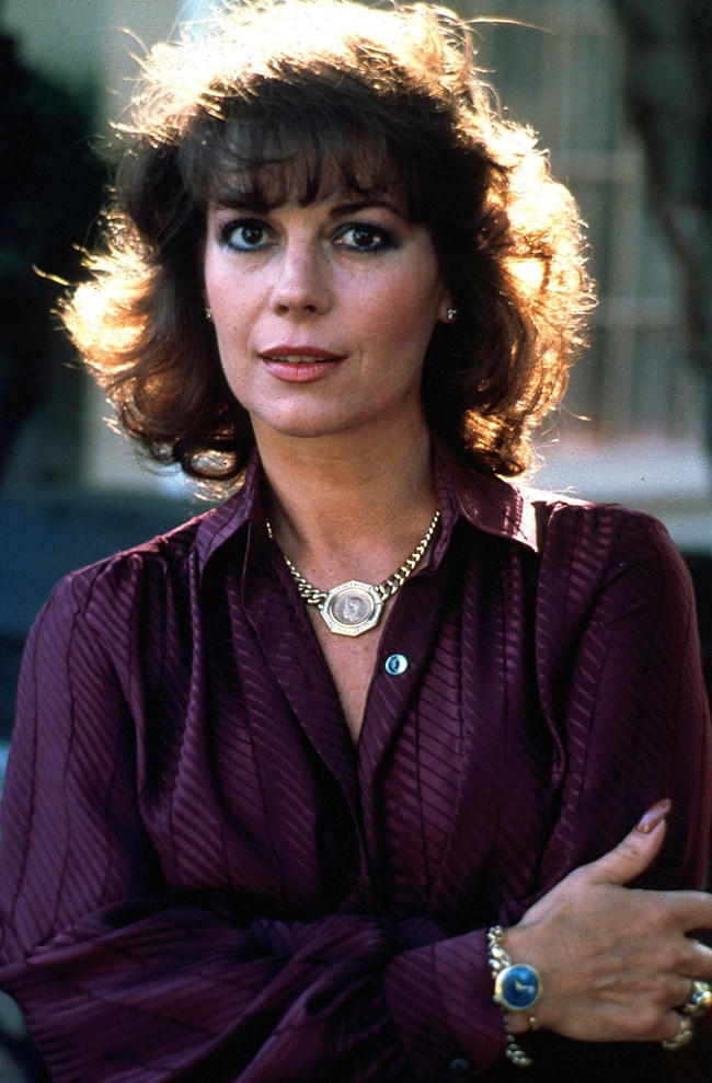 Οι μυστήριοι θάνατοι του Χόλιγουντ: Από την κόρη της Γουίτνεϊ Χιούστον μέχρι τoν Πρινς και την τραγουδίστρια των Cranberries