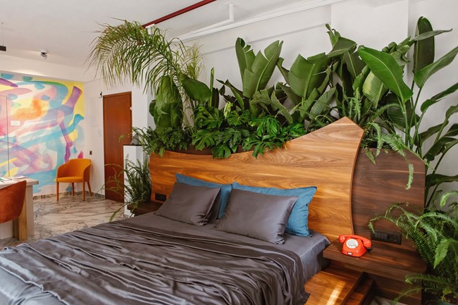 Rainforest Suite: Μια ζούγκλα ξεφύτρωσε στο Κολωνάκι