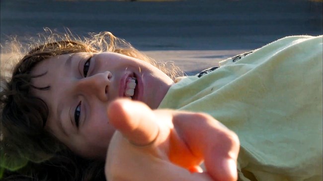 ο κύκλος, ταινιοθήκη