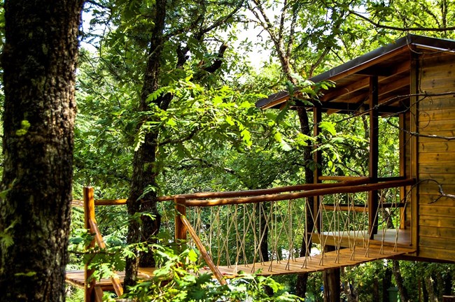 Τα δεντρόσπιτα της Χαλκιδικής ανοίγουν ένα νέο είδος τουρισμού