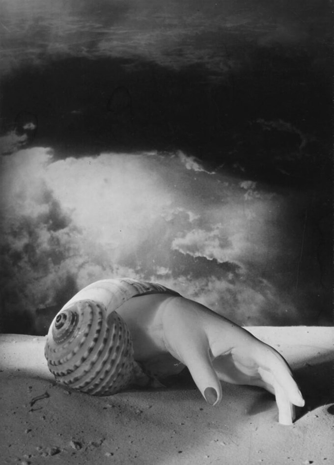 Hand-Shell, Dora Maar