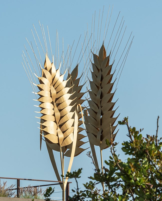 Ειρήνη Δρόσου, Σαντορίνη, εικαστικός