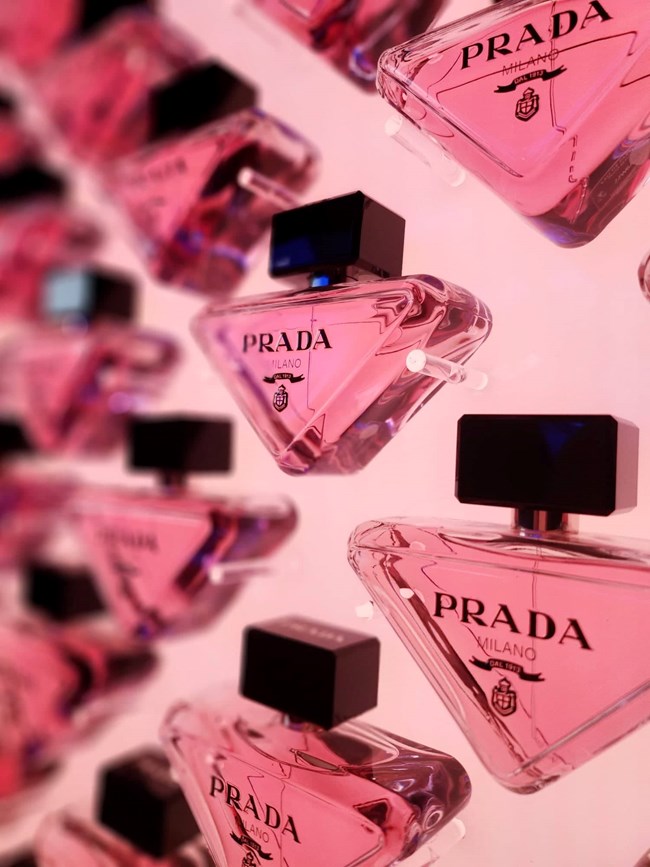 Prada Paradoxe | Όλες οι εμφανίσεις στο πάρτι για το λανσάρισμα του νέου αρώματος της Prada