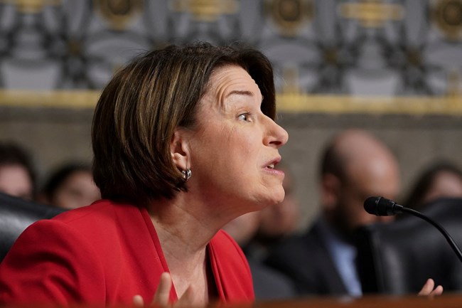 Γερουσιαστής