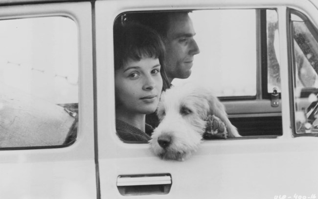 Ντάνιελ Ντέι-Λούις: οι 8 κορυφαίες ερμηνείες και ο θρυλικός τρόπος προετοιμασίας του που υπερβαίνει κάθε λογική