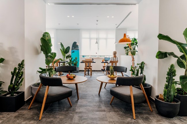 DAVE by the beach Loutraki: Μια νέα "εντυπωσιακή" άφιξη στο Λουτράκι