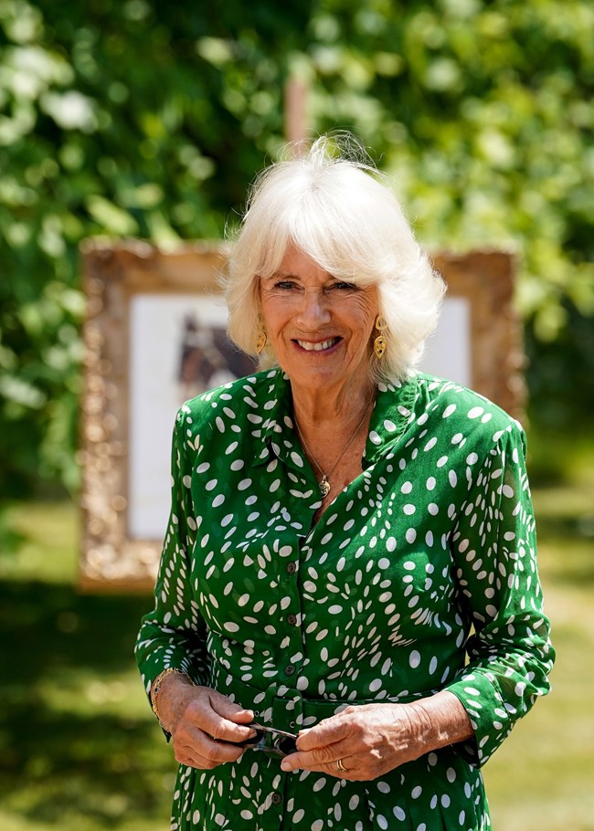 καμιλα_εμφανιση