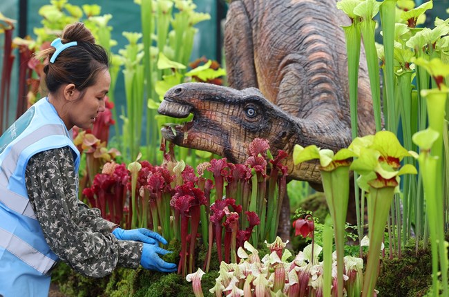 Βασιλιάς Κάρολος, Chelsea Flower Show