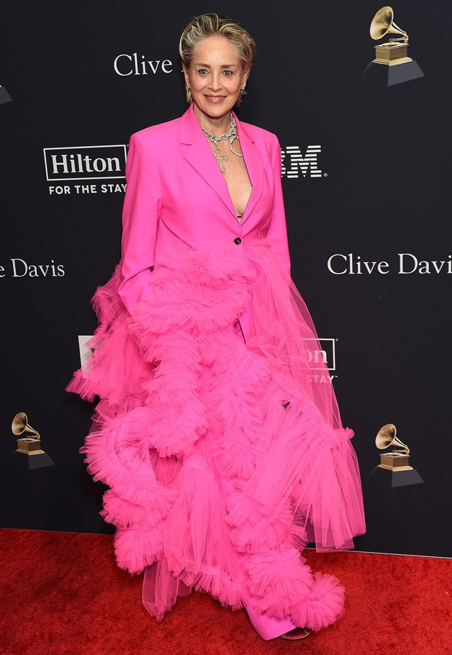 Σάρον Στόουν: Η "Barbiecore" εμφάνισή της στα 64 σε gala για τα Grammys