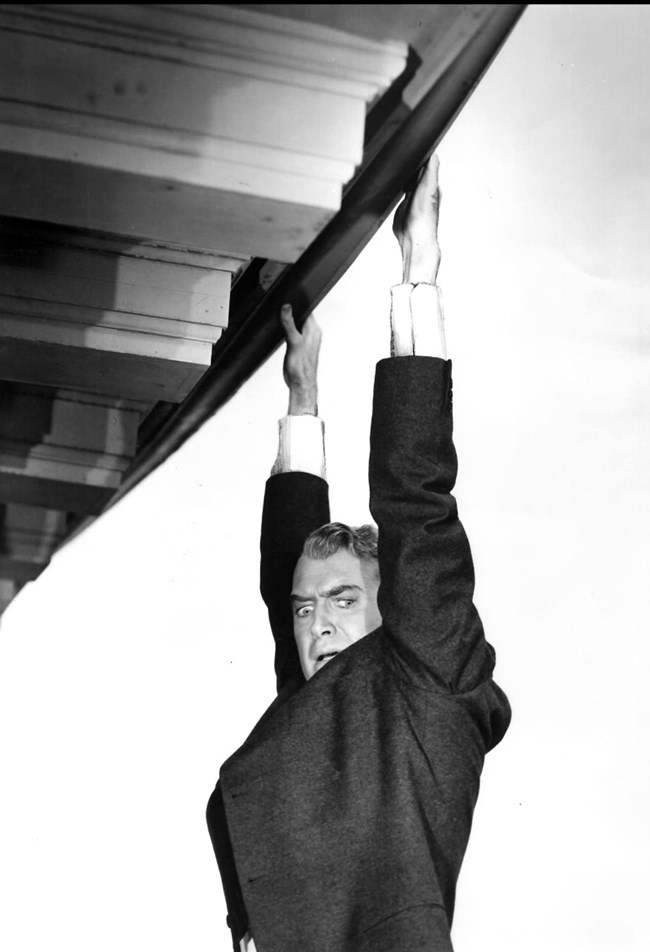 Δεσμώτης του Ιλίγγου, Vertigo