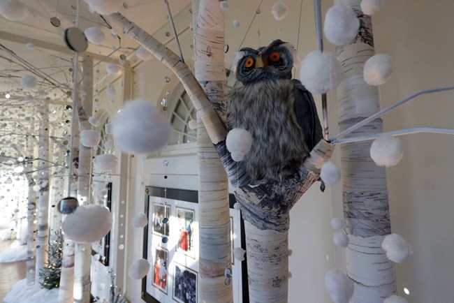 Χριστουγεννιάτικο δέντρο, λευκός οίκος