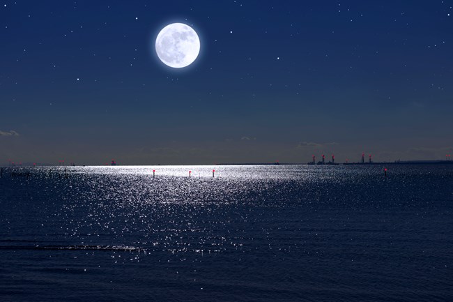 "Το Αυγουστιάτικο φεγγάρι": ένα κείμενο του Διονύση Σιμόπουλου