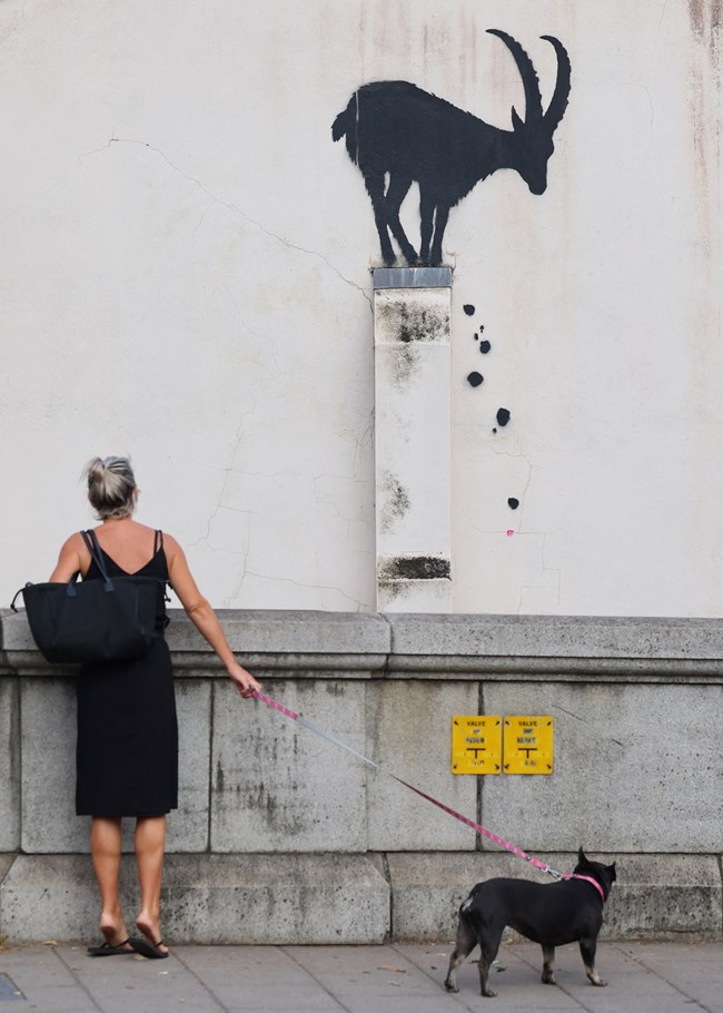 Banksy, κατσίκα