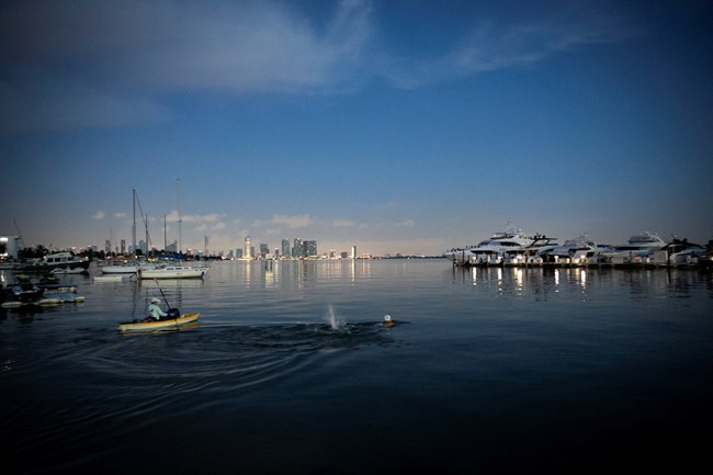 Η γοργόνα των σκουπιδιών