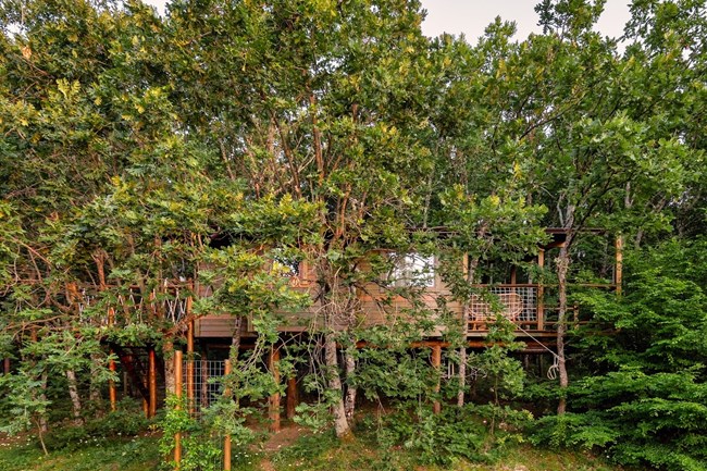 δεντρόσπιτα Χαλκιδικής