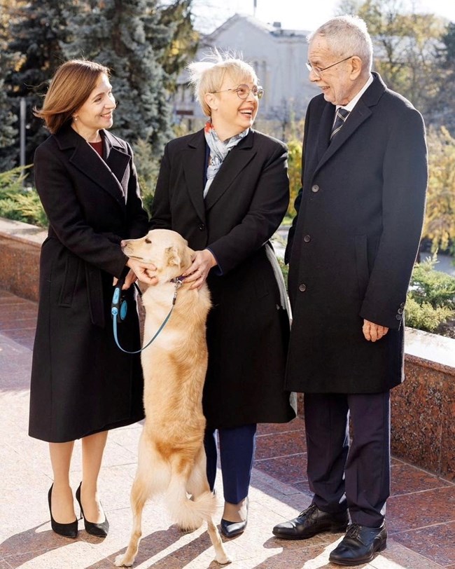 "Διπλωματικό επεισόδιο": ο σκυλάκος της Μολδαβής Προέδρου δάγκωσε ολίγον τον Πρόεδρο της Αυστρίας