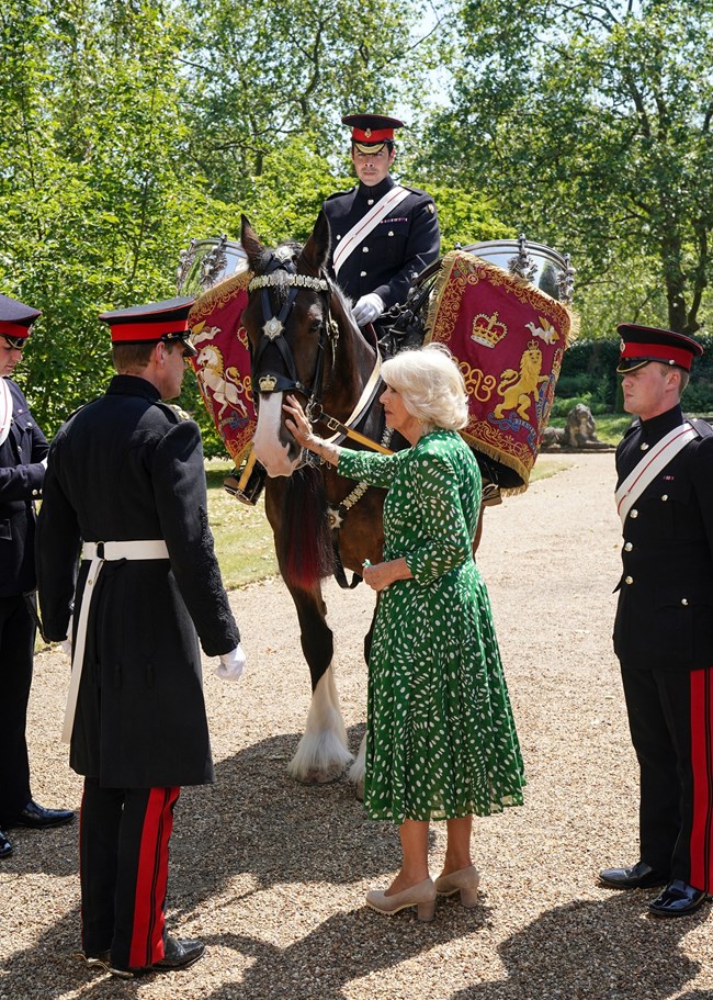 Η βασίλισσα Καμίλα "βάφτισε" το πρώτο άλογο που θα περπατήσει στα γενέθλια του Καρόλου