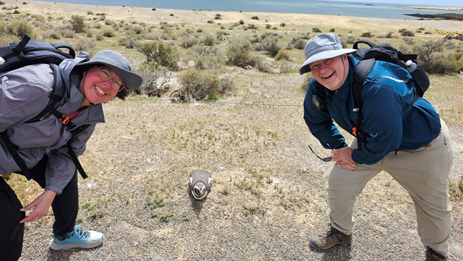 Κρουαζιέρα, Νάνσι και Μάικ