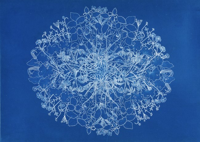 Μουσείο Μπενάκη: Το #ProjectYFASMA - Ωδή στο βαμβακερό ύφασμα