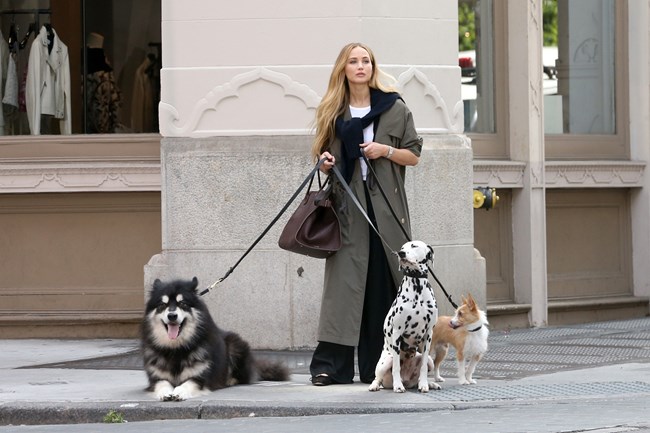 Τζένιφερ Λόρενς