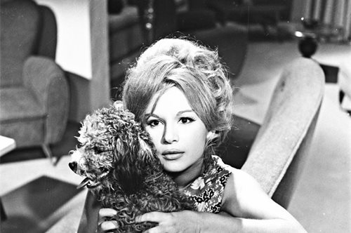 Finos Film: Το συγκινητικό της βίντεο για την Παγκόσμια Ημέρα των Ζώων.