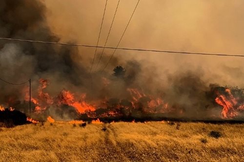 Φωτιές στη Ρόδο | Ένα ζευγάρι τουριστών από τη Σουηδία περιγράφει την εμπειρία του