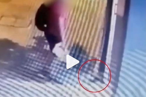 40χρονος καθηγητής του ΑΠΘ ο δολοφόνος που έλιωσε με το πόδι του το γατάκι στη Θεσσαλονίκη